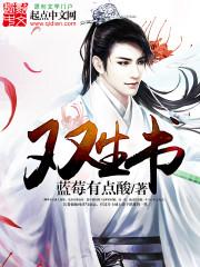 双生书
