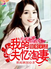 别来无恙：我的失忆淘妻