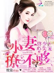 佟少心尖宠：小妻，撩不够