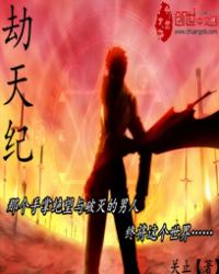 劫之王所凝视的世界