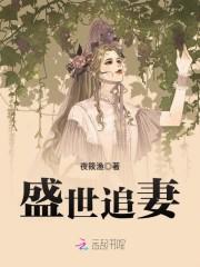 盛世追妻：首席的1号专属